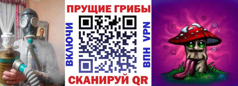 Псилоцибиновые грибы GOLDEN TEACHER  где купить наркоту  Власиха 